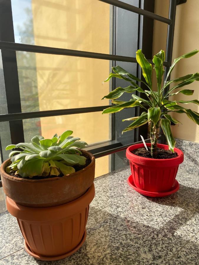 Appartamento Eliana 阿斯蒂 外观 照片